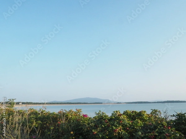 Fototapeta beach with trees
