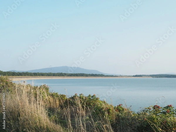 Obraz lake and grass