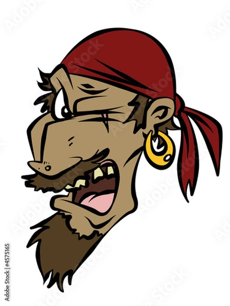 Obraz Pirate Head