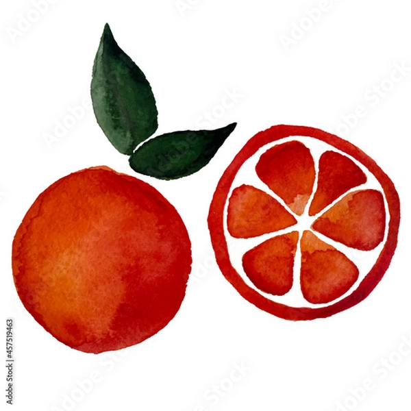 Obraz Watercolor orange with slice