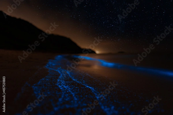 Obraz Bioluminescence Denmark