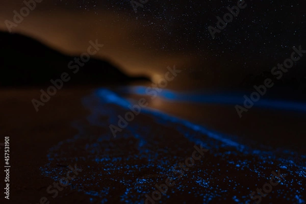 Obraz Bioluminescence Denmark