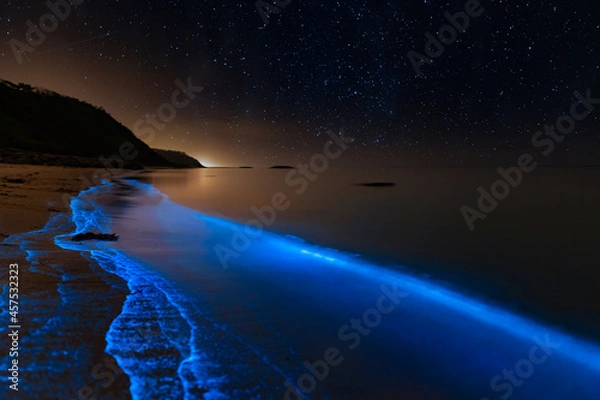 Obraz Bioluminescence Denmark