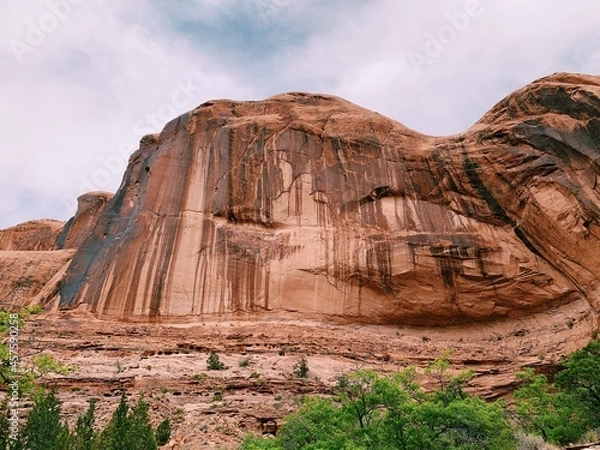 Obraz Processed with VSCO with c1 preset