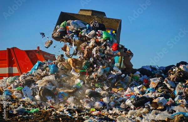 Fototapeta Caterpillar compactor working in a landfill