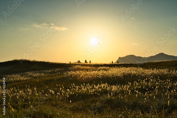 Obraz 奈良県　曽爾高原　ススキの名所