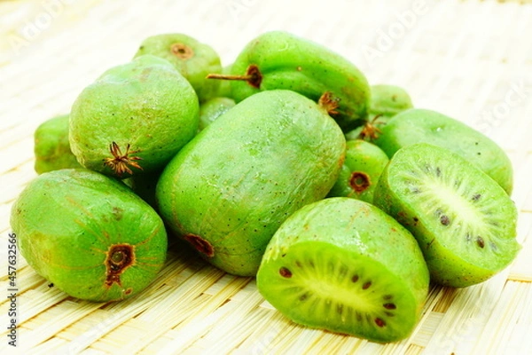 Obraz サルナシの実