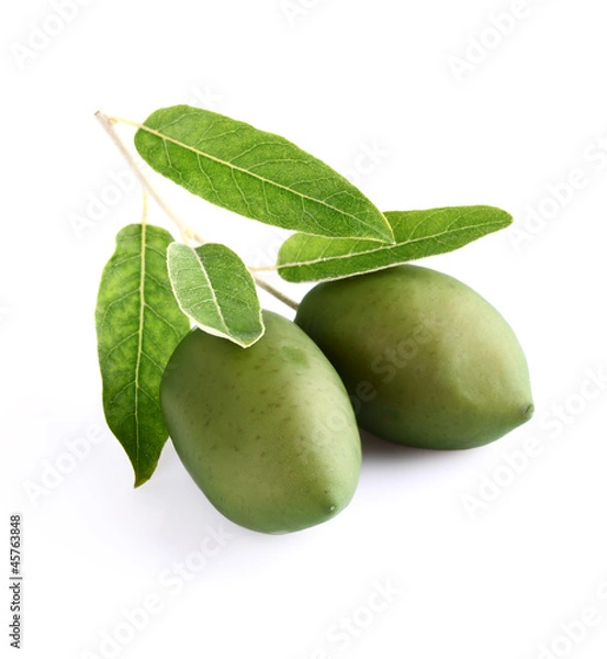 Obraz Green olives
