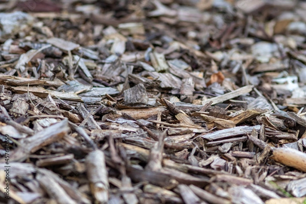 Fototapeta Shredded wood and wood chips after crushed recycling shows natural footpath in a forest or garden with compost or mulch from shaving of wood material as rough surface pattern with wooden fragments