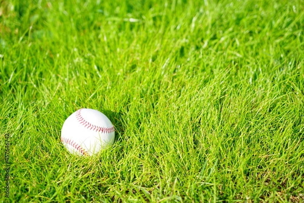 Fototapeta 明るい屋外の天然芝に置かれた野球ボール