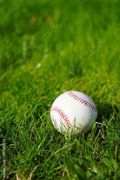 Fototapeta 明るい屋外の天然芝に置かれた野球ボール