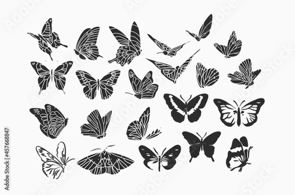 Fototapeta Hand drawn vector abstract stock flat graphic illustrations collection set bundle with logo elements,bohemian magic line silhouette art of mystic flying butterfly and moth,feminine simple style.