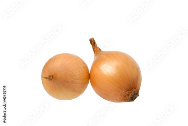 Obraz two onions