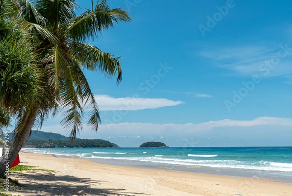 Obraz coconut tree sky clouds blue sea