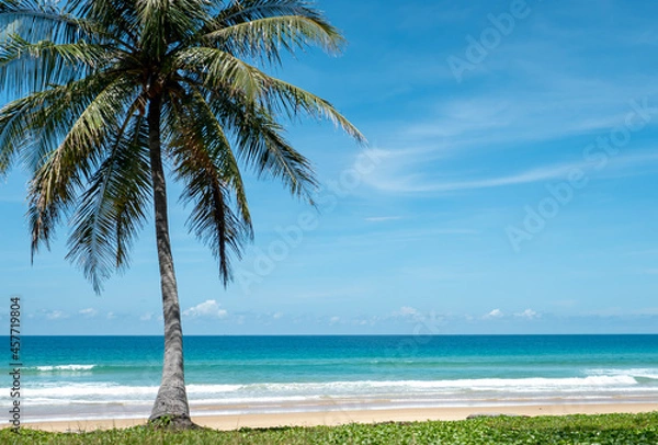 Obraz coconut tree sky clouds blue sea