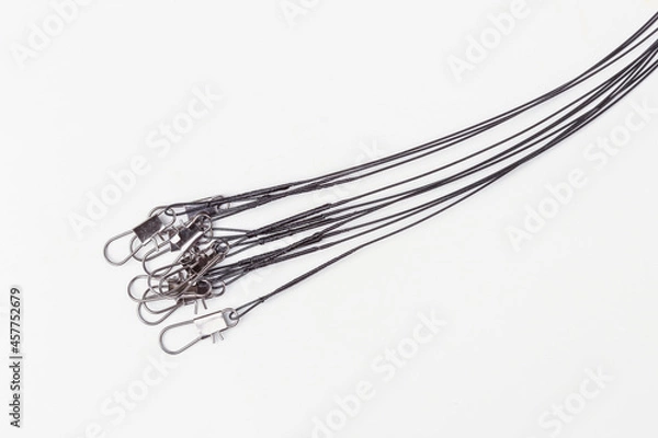 Obraz Metal fishing leashes