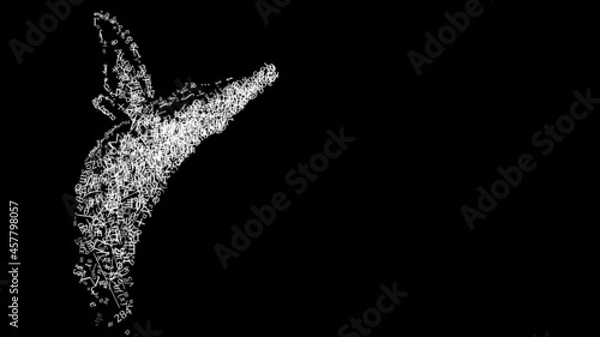 Obraz 数式クジラ（背景黒）