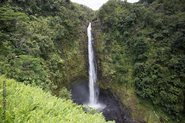 Obraz waterfall in the forest
