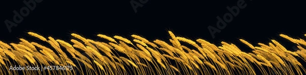 Obraz farm harvest, gold wheat line isolated - design nature 3D rendering