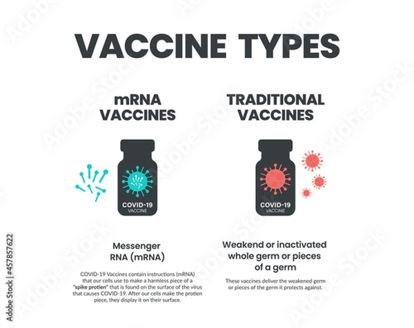 Fototapeta Vaccine Types Infographic. Different components of mRNA vaccines and Traditional vaccines. Traditional Vaccines contain weaken, inactivated whole germ. mRNA contain Spike protein. Illustrator vector.