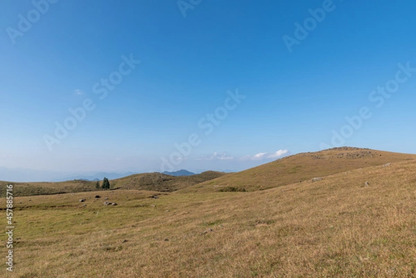 Fototapeta Blue sky and white clouds, withered and yellow meadow