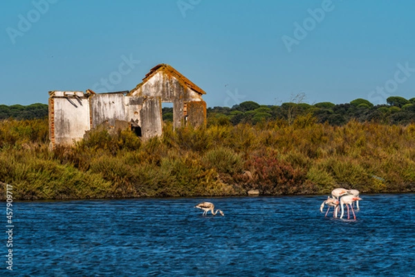 Obraz house on the river