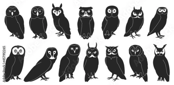 Fototapeta Owl bird black vector set illustration of icon. .Vector set icon of animal owl. Isolated black collection illustration of bird on white background.