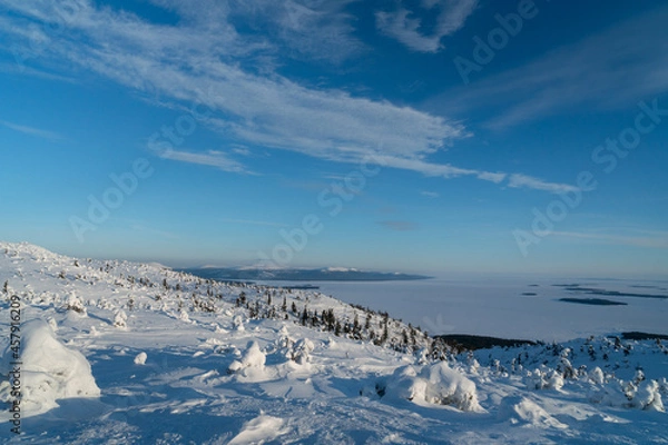 Fototapeta Winter landscape with snow-covered trees. Kandalaksha. Murmansk region