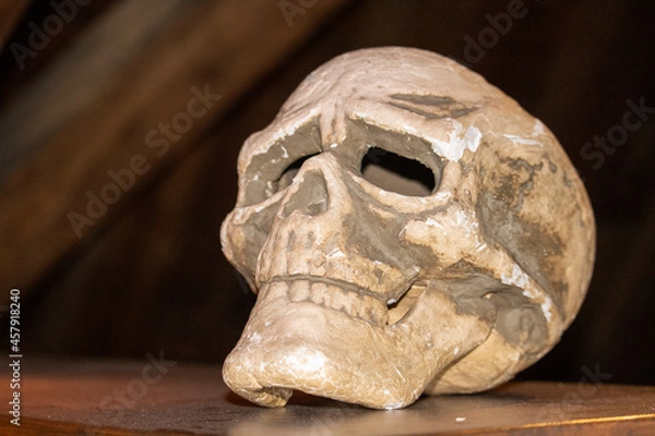 Obraz Old Skull