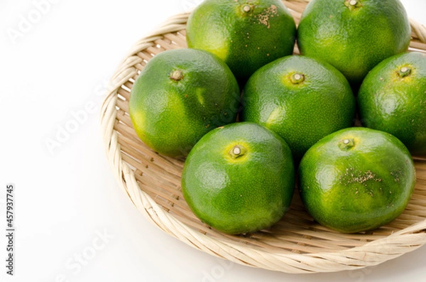 Fototapeta 青切り温州みかん