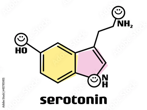 Fototapeta セトロニン分子のベクトル図_図形カラー
