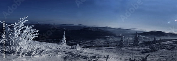 Obraz panoramic view on snowcovered mountains at night with a bush on the foreground