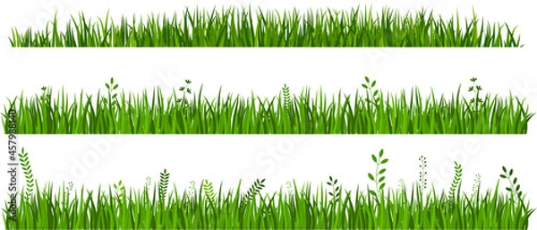 Obraz Vector green Grass borders set on white background.
