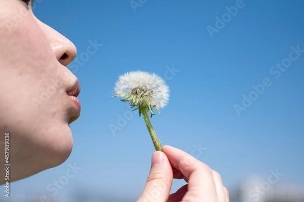 Obraz A young pregnant Asian woman blowing dandelion seeds near riverside on a sunny day