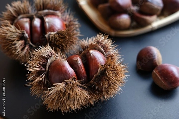 Fototapeta いがぐりと栗の実