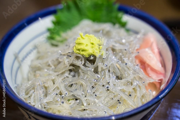 Fototapeta 生シラス丼　whitebait bowl　