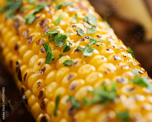 Obraz Corn on cob macro close up with grill marks and herbs