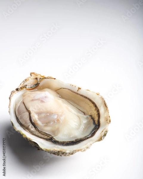Obraz Oyster in opened half shell isolated on plain white background