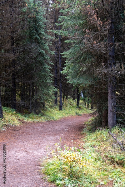 Obraz Maligne Lake Trail