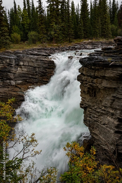 Obraz Athabasca Falls Waterfall Jasper