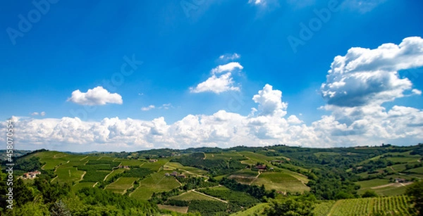 Fototapeta  Paesaggio - Piemonte - Langhe - Mango - Italia