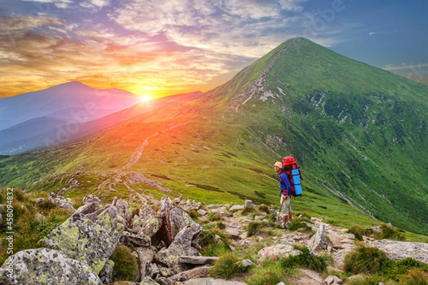 Obraz A  tourist with large backpacks walks towards Hoverla, the highest mountain in the Ukrainian Carpathian mountains, during sunset