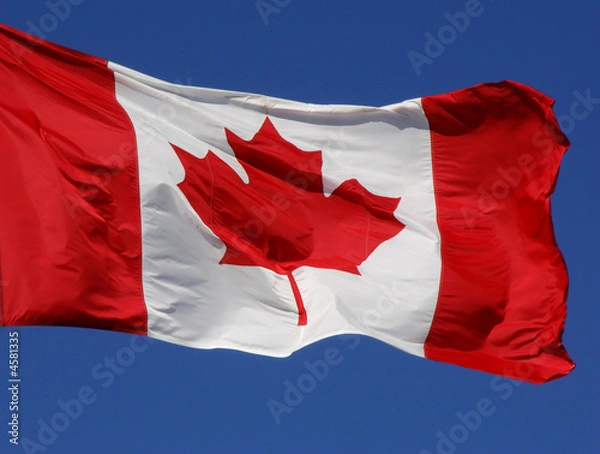 Obraz Canadian Flag Closeup