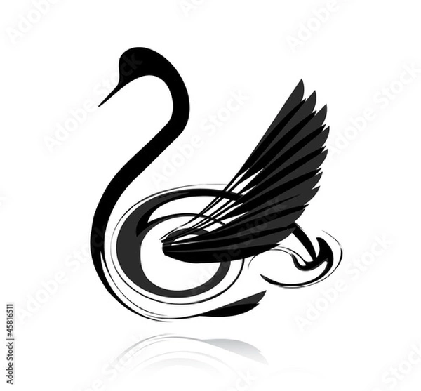 Fototapeta Abstract vector black swan