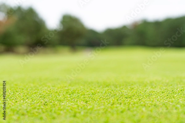 Fototapeta ゴルフ場の風景 手前ピント奥ボケ コピースペース有り