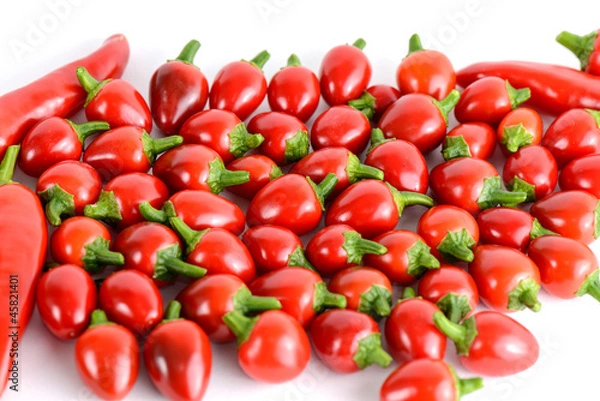 Obraz große Chiliernte 