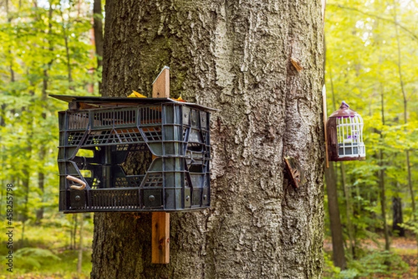 Fototapeta bird feeders suspended on an old bell. caring for animals