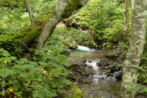Obraz 長野 山奥の沢