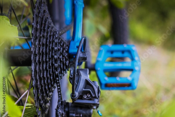 Obraz bicycle parts cassette and chain closeup