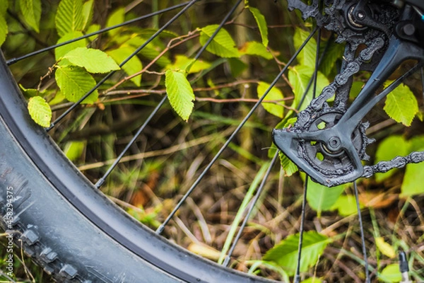 Obraz bicycle parts cassette and chain closeup